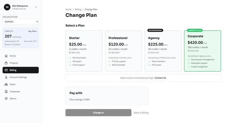 Plan selection page showing Starter, Professional, Agency, and Corporate tiers